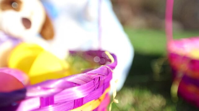 Close up, chick inside Easter basket