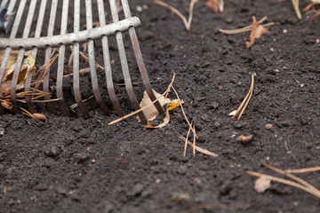 Fan rake cultivate black earth close-up