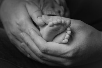 newborn feet