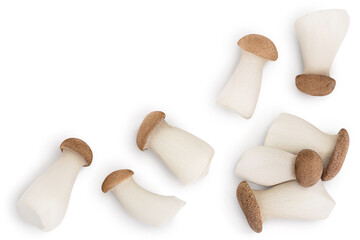 King Oyster mushroom or Eringi isolated on white background with clipping path. Top view with copy space for your text. Flat lay