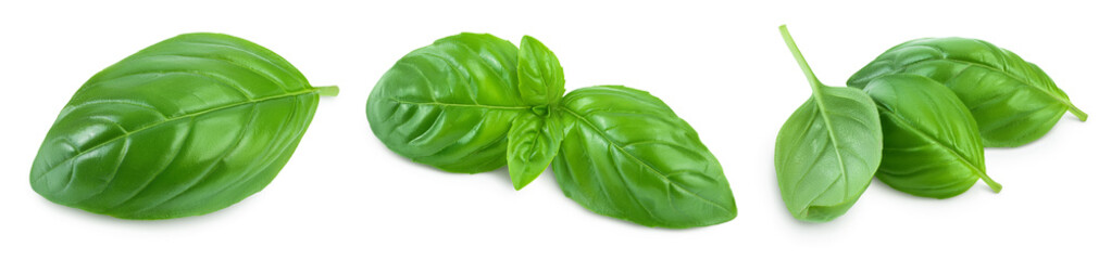 Fresh basil leaf isolated on white background with clipping path and full depth of field. Top view. Flat lay, Set or collection
