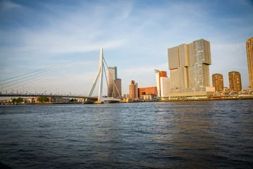 No drill light filtering roller blinds Erasmus Bridge Erasmusbrücke Rotterdam