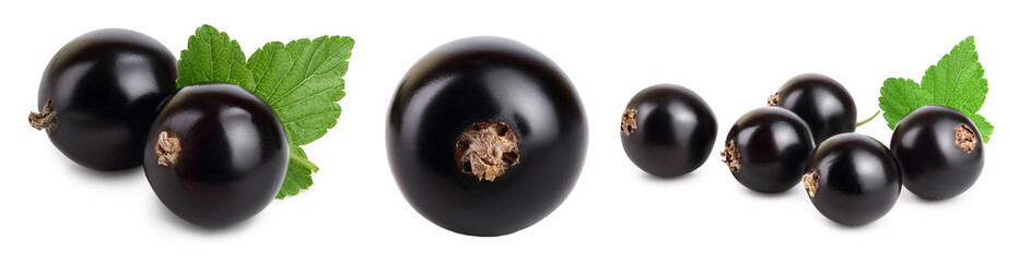 black currant with leaves isolated on white background with clipping path and full depth of field. Set or collection