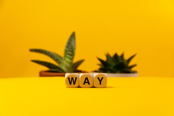 The word way written with dices in front of a planted yellow background