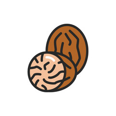 Nutmeg color line icon. Isolated vector element. Outline pictogram for web page, mobile app, promo.