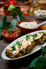 Mediterranean cuisine - dolma in plate with fresh cilantro and sauce on dark wooden table, close-up side view. Dolma, traditional dish of meat and grape leaves - Caucasian, Turkish and Greek cuisine