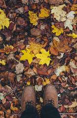 Autumn scene. Standing in leather boots on colorful fallen autumn leaves. - 392937773