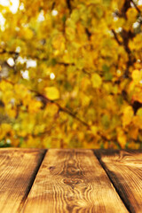 Naklejka na ściany i meble Wooden background on a background of yellow leaves. Wallpaper. Autumn background
