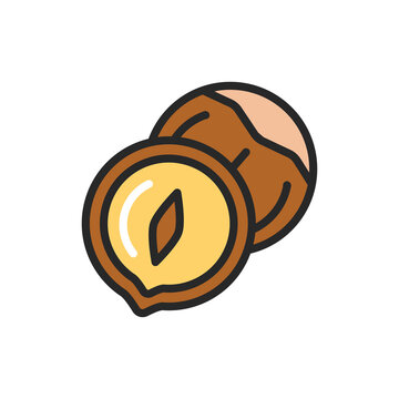 Nazel nut color line icon. Isolated vector element. Outline pictogram for web page, mobile app, promo.