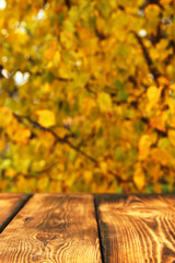 Naklejka na ściany i meble Wooden background on a background of yellow leaves. Wallpaper. Autumn background