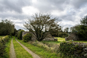 Country driveway sunset on October harvest moon