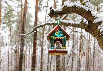 hand-made house bird feeder hanging on a tree in winter forest. Caring for and feeding birds, animals