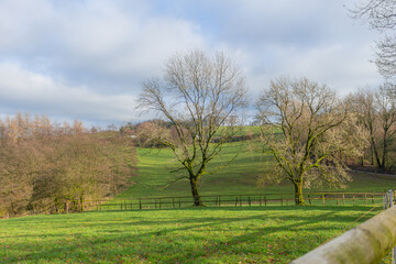 Beautiful landscape view hilly countryside fields with trees and forests