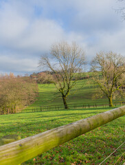 Beautiful landscape view hilly countryside fields with trees and forests