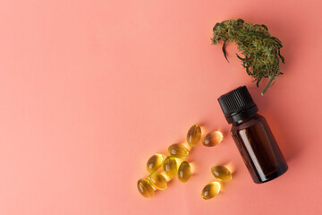 Cannabis bud close-up concept of legalize and medicinal properties of hemp and cbd oil.