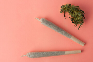 Cannabis bud close-up concept of legalize and medicinal properties of hemp.
