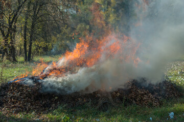 burning dry fallen leaves in rural areas.