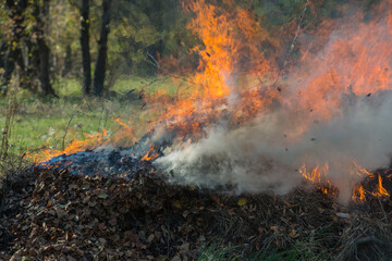 burning dry fallen leaves in rural areas.