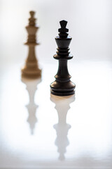 Black King in Focus White King in Background Chess Pieces