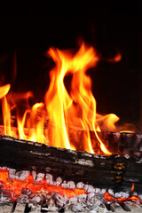 Wood is burning in the fireplace. Home comfort. Vertical orientation