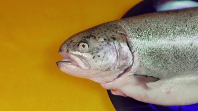 Fresh fish in the kitchen. Colorist video.