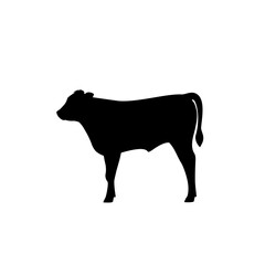 Calf silhouette icon. The Best Beef Cattle Breeds. Farm animals. Vector Illustration.