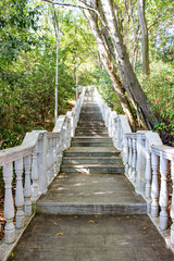 Paved path with steps up. The sides are flanked by marble railings with a beautiful balustrade. There is dense green vegetation, trees, and shrubs around. Steps in the mountain forest.