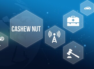 cashew nut