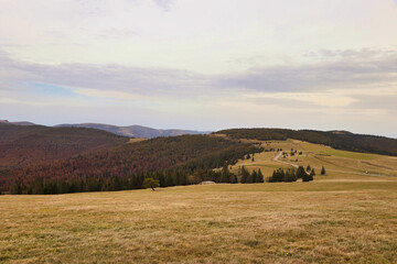 herbst, elsass, hintergrund