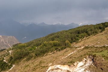 Scenic landscape of a green pine forest with a panorama of snow capped mountains on a cloudy, overcast day in the Himalayan village of Munsyari, Uttarakhand.