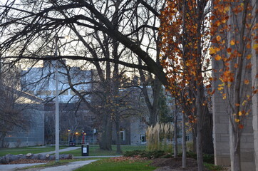 Sunset at McMaster University - Hamilton, ON
