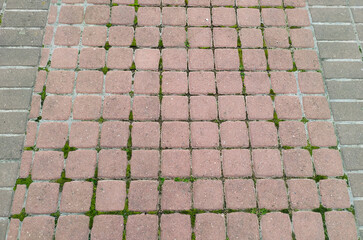 Paving stone