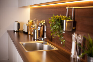 Bright kitchen. Home interior. Various items in the kitchen, live plants
