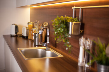Bright kitchen. Home interior. Various items in the kitchen, live plants
