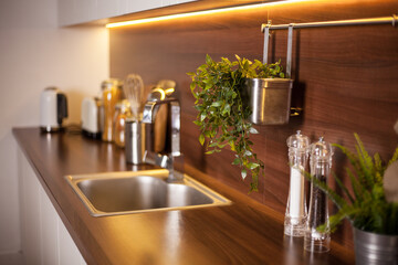 Bright kitchen. Home interior. Various items in the kitchen, live plants
