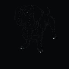 The Vector logo hunting dog Dachshund  for tattoo or T-shirt design or outwear.  Cute print style dog  Dachshund  background. This hand drawing would be nice to make on the black fabric or canvas.