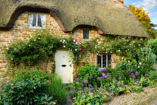 Historic thatched roof cottage in Great Tew village with garden flowers and climbing rose on yellow cotswold stone Oxfordshire Great Tew, England - June 14, 2019