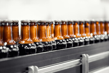 Brewery industry food factory manufacturing. Beer bottles on conveyor production line