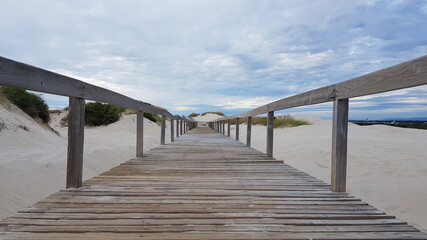 A walkway through the sands in Tocha beach, Portugal.