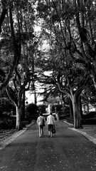 A peaceful walk in the park in Oeiras, Portugal..