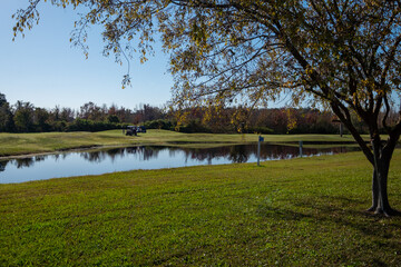 A golf course green with green grass and a large tree in the foreground, a river running through the middle dividing grass mounds. Two golf carts are at a golf hole in the background. 