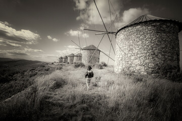 Fearless D. Quixote and the windmills