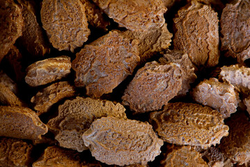 super makro shot of  very nice seeds exotik karela momordica.  close and clear in details good food and spice backround