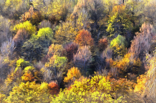 Colorful painting of autumn trees