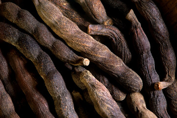 super macro shot of heap exotic spice selim pepper ,xylopia acthiopica, from Senegal in details...