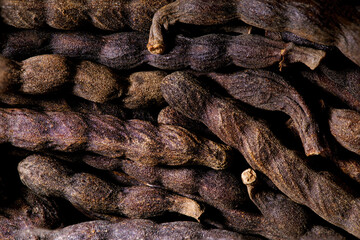 super macro shot of heap exotic spice selim pepper ,xylopia acthiopica, from Senegal in details very close. Ideal food and spice background