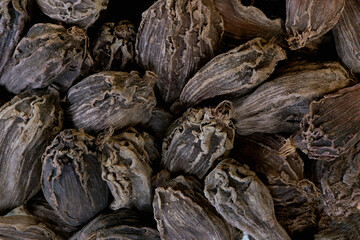 Fototapeta na wymiar super macro shot of exotic spice black cardamon from India. in details very close.aromat part of masala. Ideal food and spice background