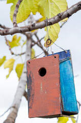 Colorful birdhouse on a branch tree