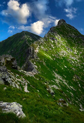 mountain ridge overgrown with green grass