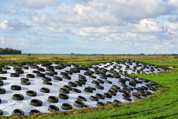 large pile of silage on field covered with plastic film and used tires